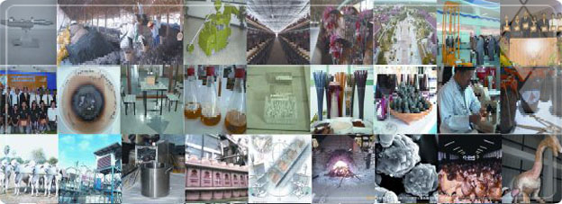 The National Research University
