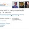 งานวิจัยของนักวิจัย มทส. ได้รับตีพิมพ์ในวารสาร Nature Communication